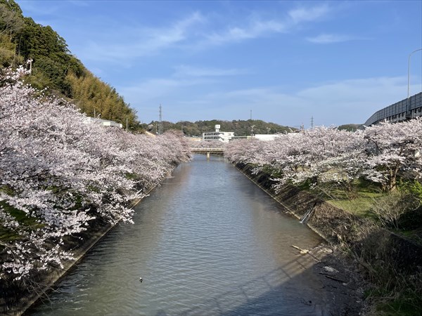 測量・設計